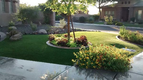 Synthetic Grass Care