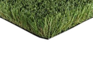 65oz-Fescue