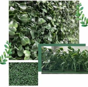 AZturf-boxwood vine