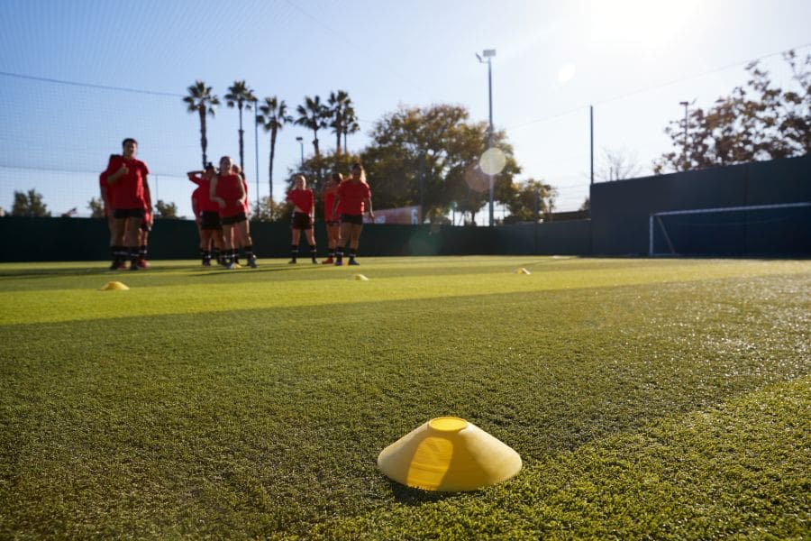 Natural Artificial Turf